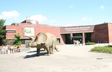 Museum-für-Naturkunde-1.jpg